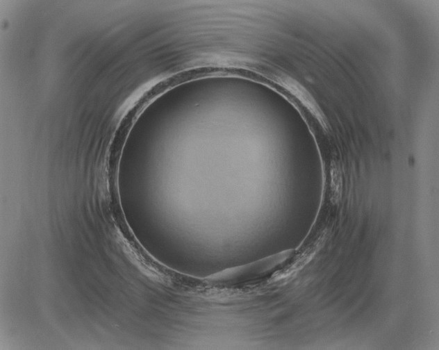 X0000083620972200702260949