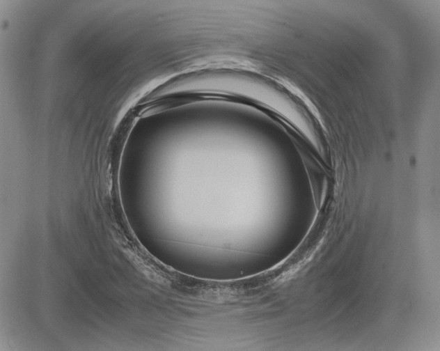 X0000083620973200702260949