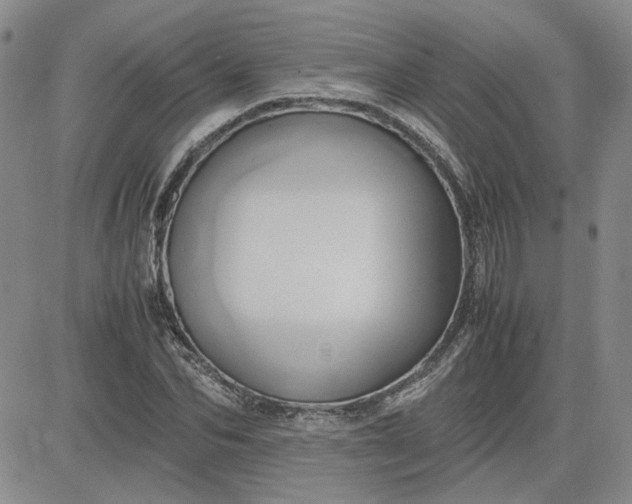 X0000083620974200702260949