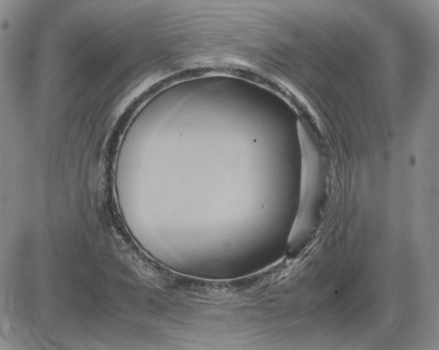 X0000083620975200702260949