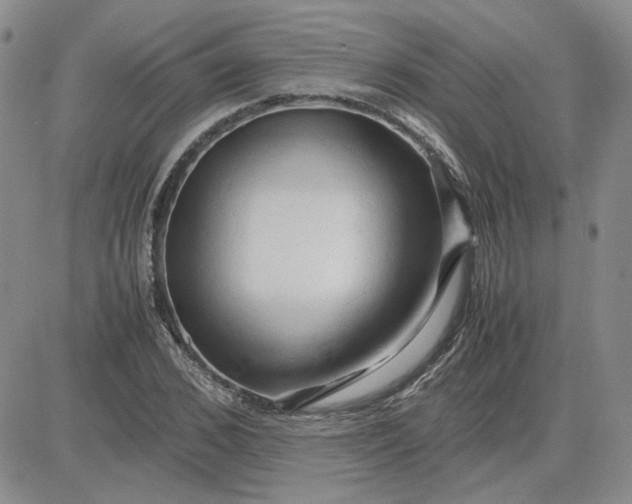 X0000083620976200702260949