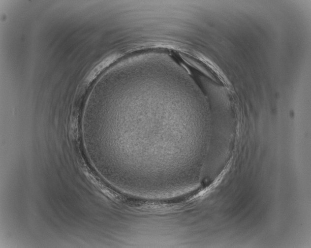 X0000083620977200702260949