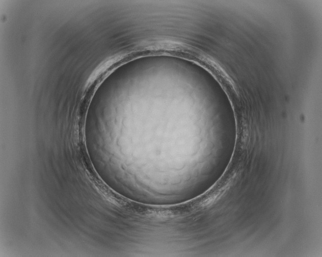 X0000083620978200702260949