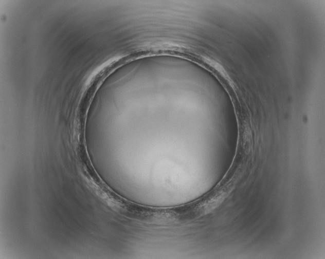 X0000083620979200702260949