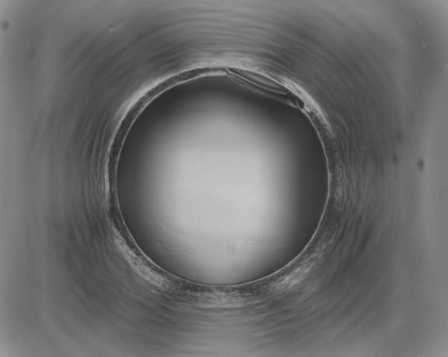 X0000083620980200702260949