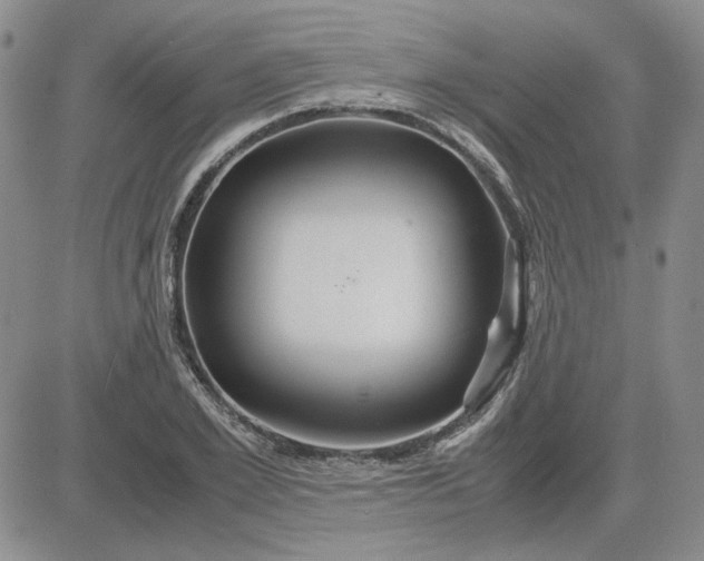 X0000083620981200702260949