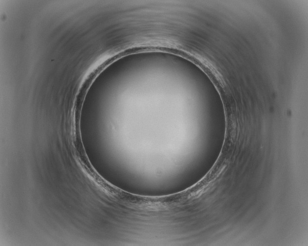 X0000083620982200702260949