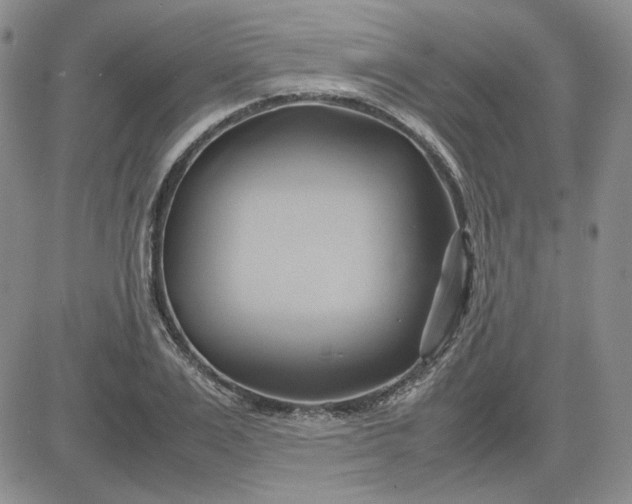 X0000083620983200702260949