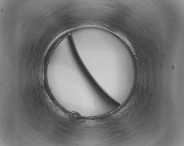 X0000083620984200702260949