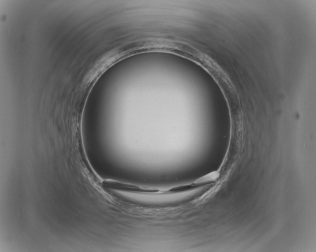 X0000083620985200702260949