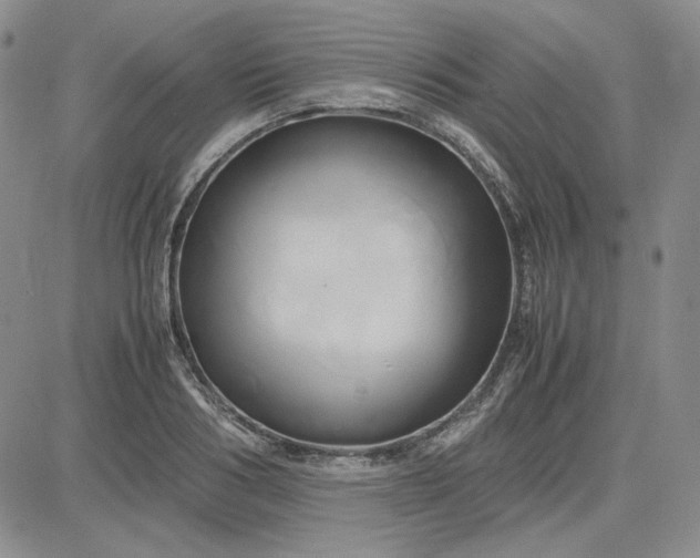 X0000083620986200702260949