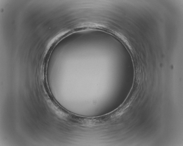 X0000083620987200702260949