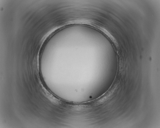 X0000083620988200702260949