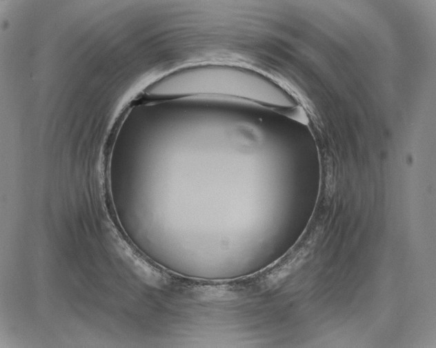 X0000083620990200702260949