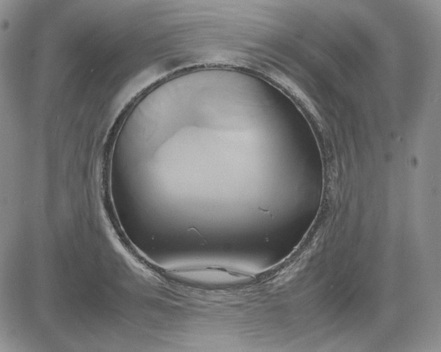 X0000083620991200702260949