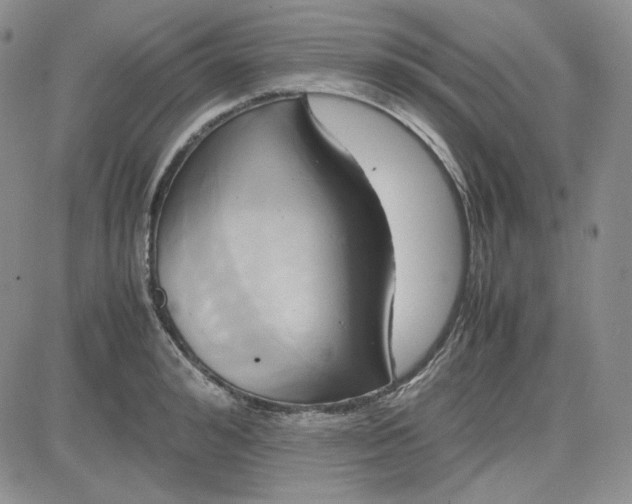 X0000083620992200702260949