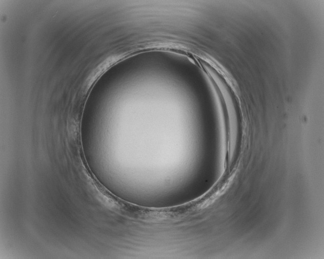 X0000083620993200702260949