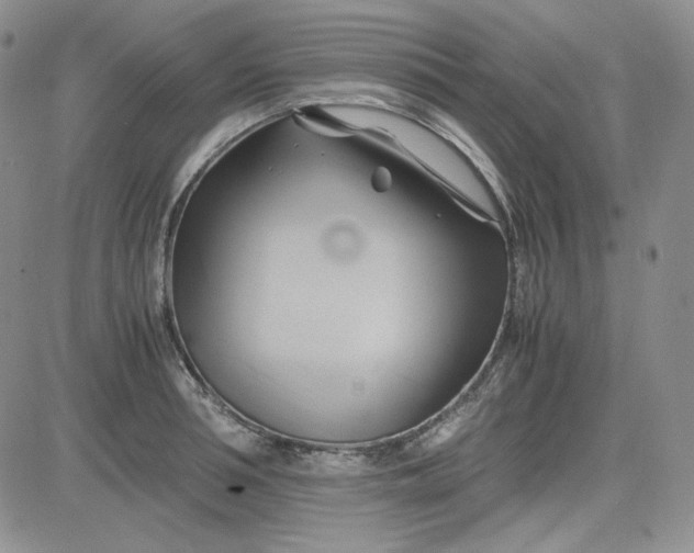 X0000083620994200702260949