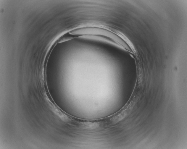 X0000083620996200702260949