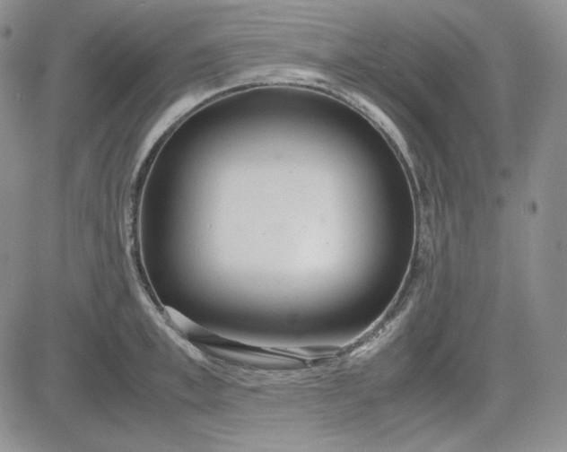 X0000083620997200702260949