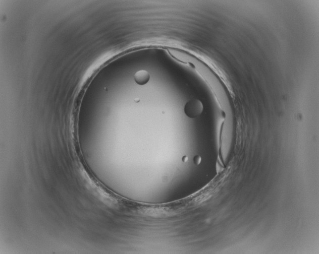 X0000083620998200702260949