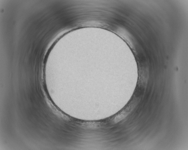 X0000083621000200702260949