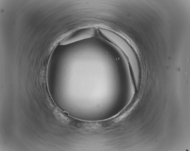 X0000083621001200702260949