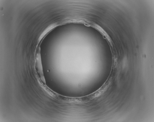 X0000083621002200702260949