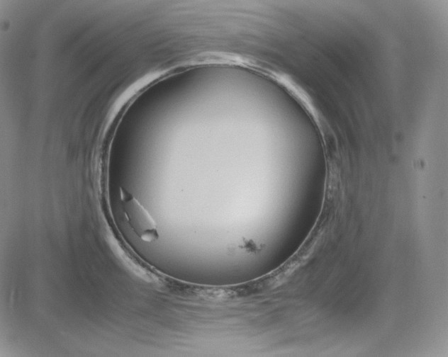 X0000083621003200702260949