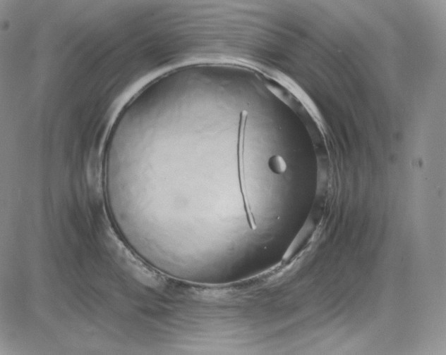 X0000083621004200702260948