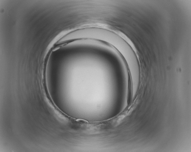 X0000083621005200702260948