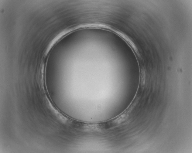 X0000083621006200702260948