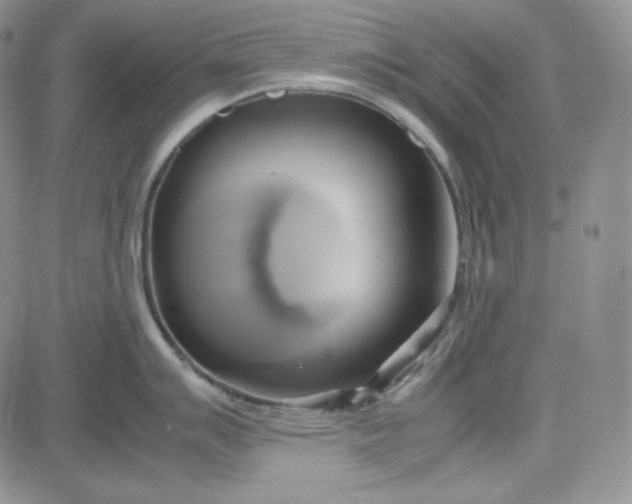 X0000083621007200702260948