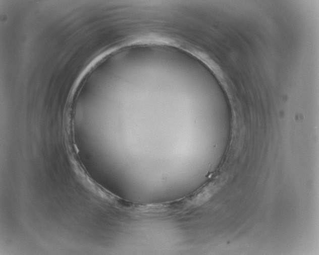 X0000083621008200702260948