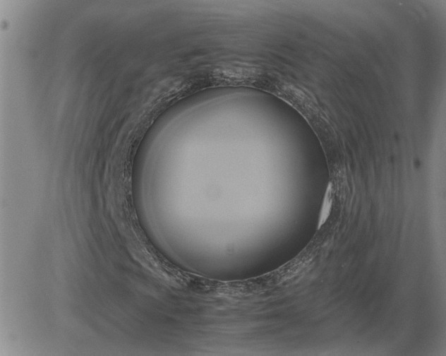 X0000083621009200702260948