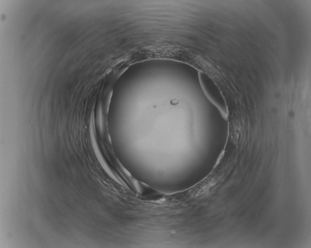 X0000083621010200702260948