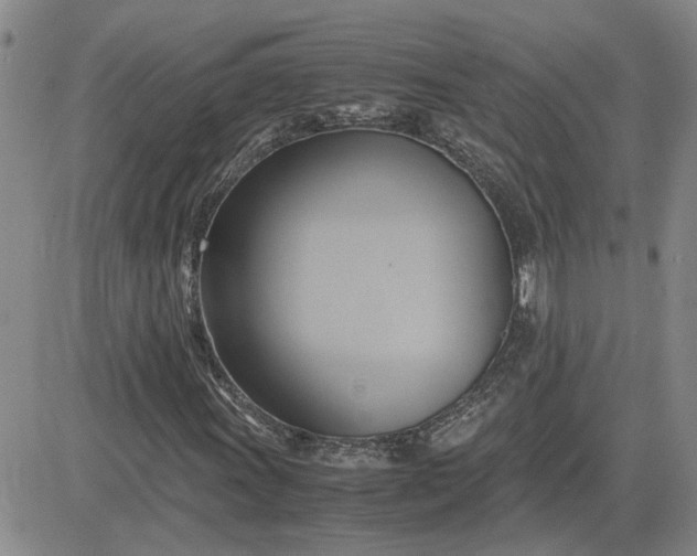 X0000083621011200702260948