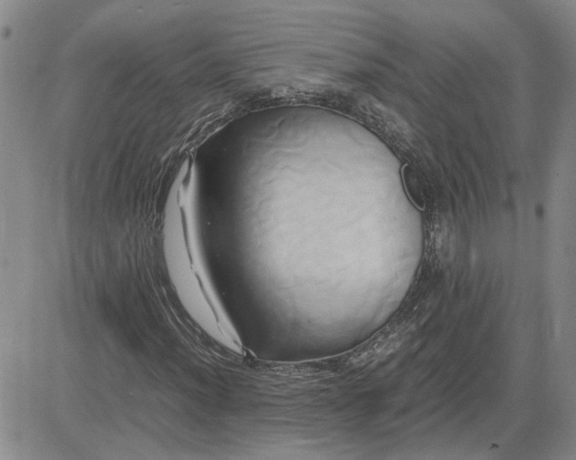 X0000083621012200702260948