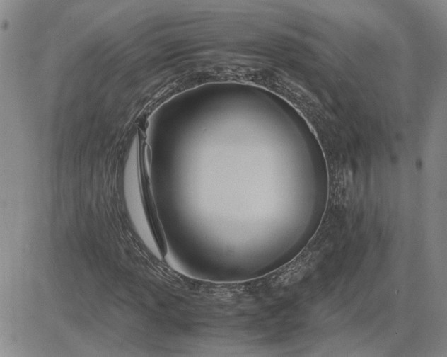 X0000083621013200702260948