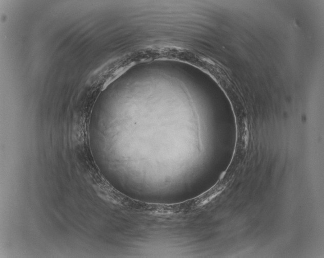 X0000083621014200702260948