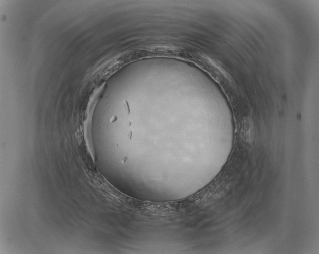 X0000083621015200702260948