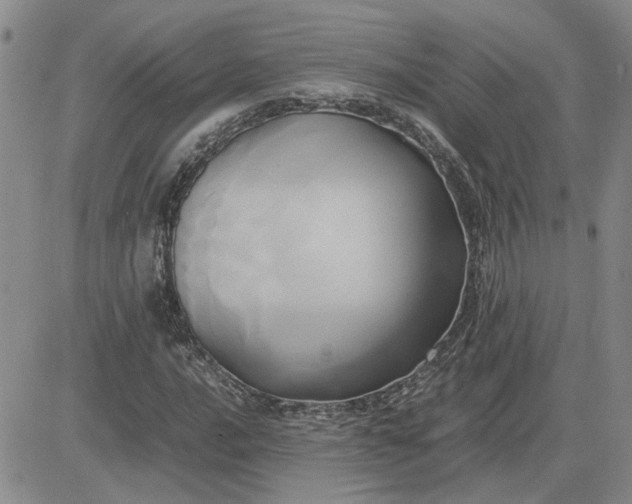 X0000083621016200702260948