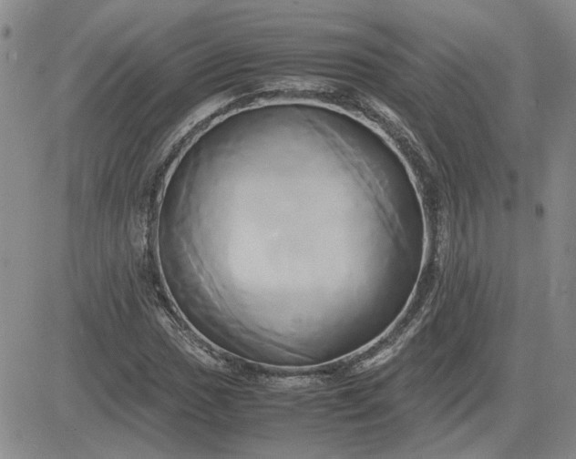 X0000083621017200702260948