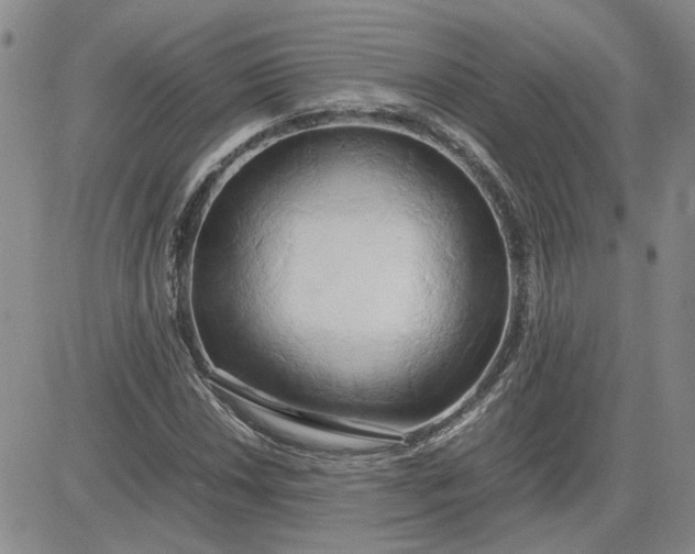 X0000083621018200702260948