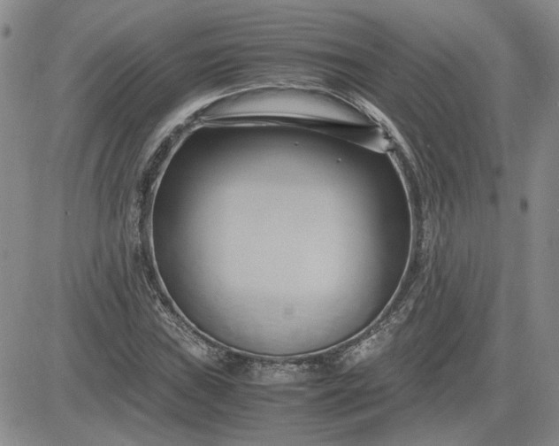 X0000083621019200702260948