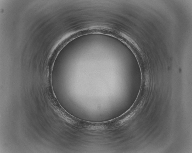 X0000083621021200702260948