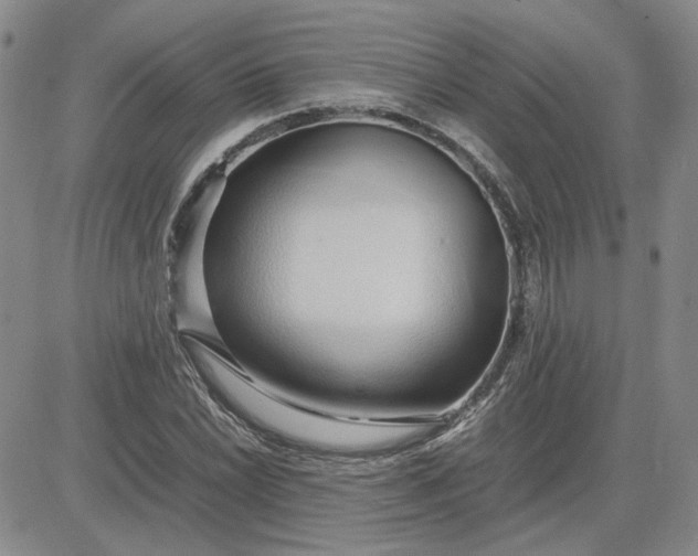 X0000083621022200702260948