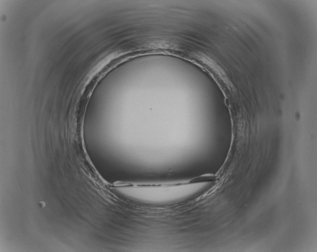 X0000083621023200702260948