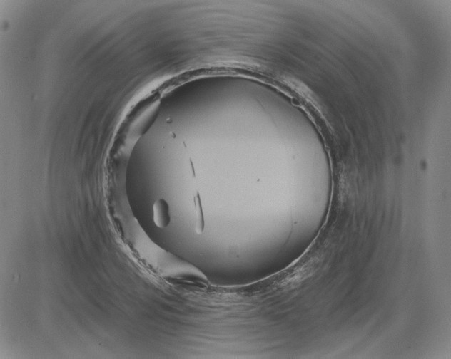 X0000083621024200702260948