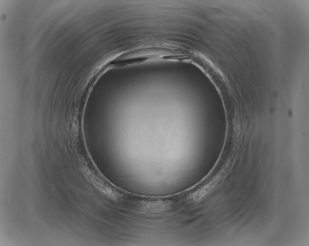 X0000083621025200702260948